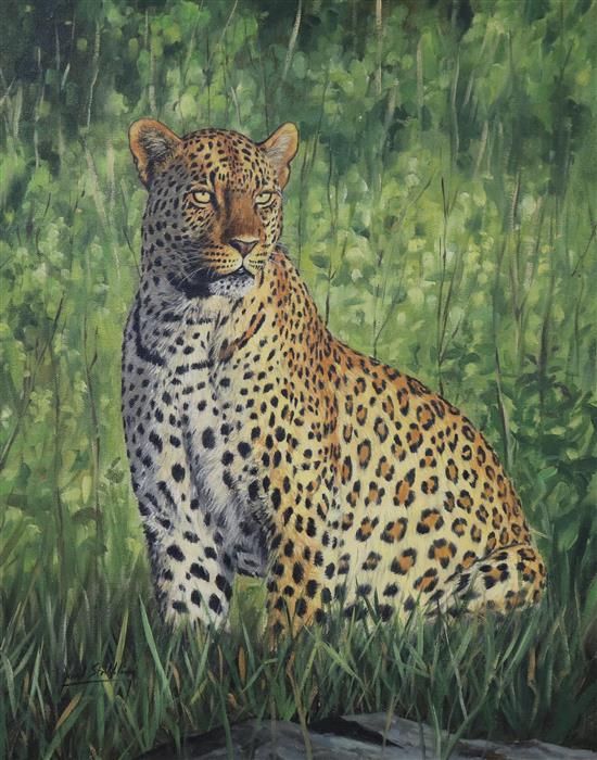David Stribbling, painting of a leopard 51x40.5cm